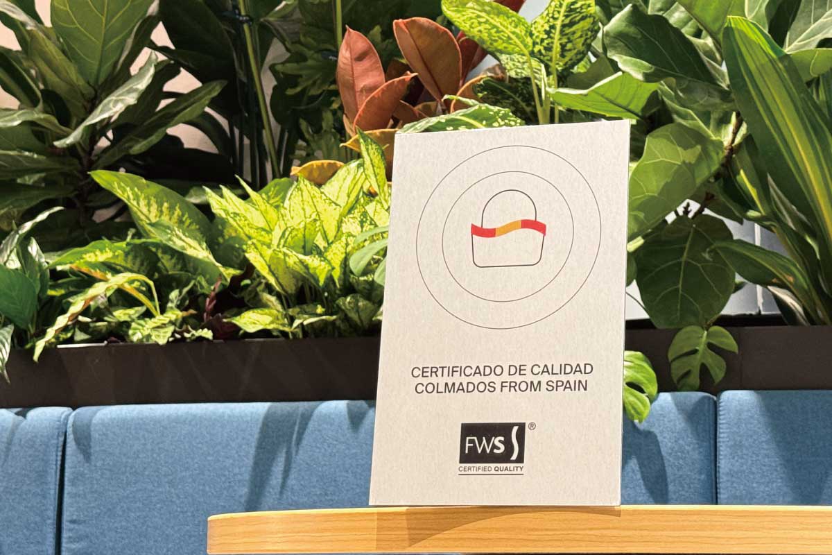 Celebrating Our New Milestone – Nature’s Parlour Certified as a “Colmados from Spain” seller!